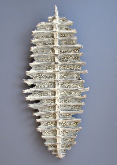 2012-12/05