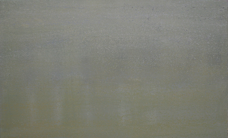 landschap in de mist 2