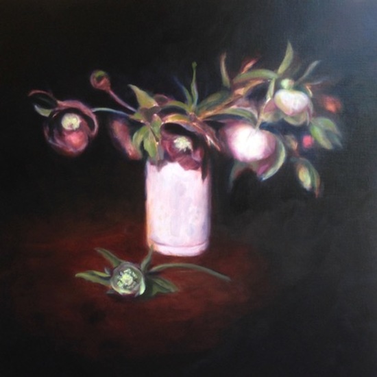 Helleborus 1