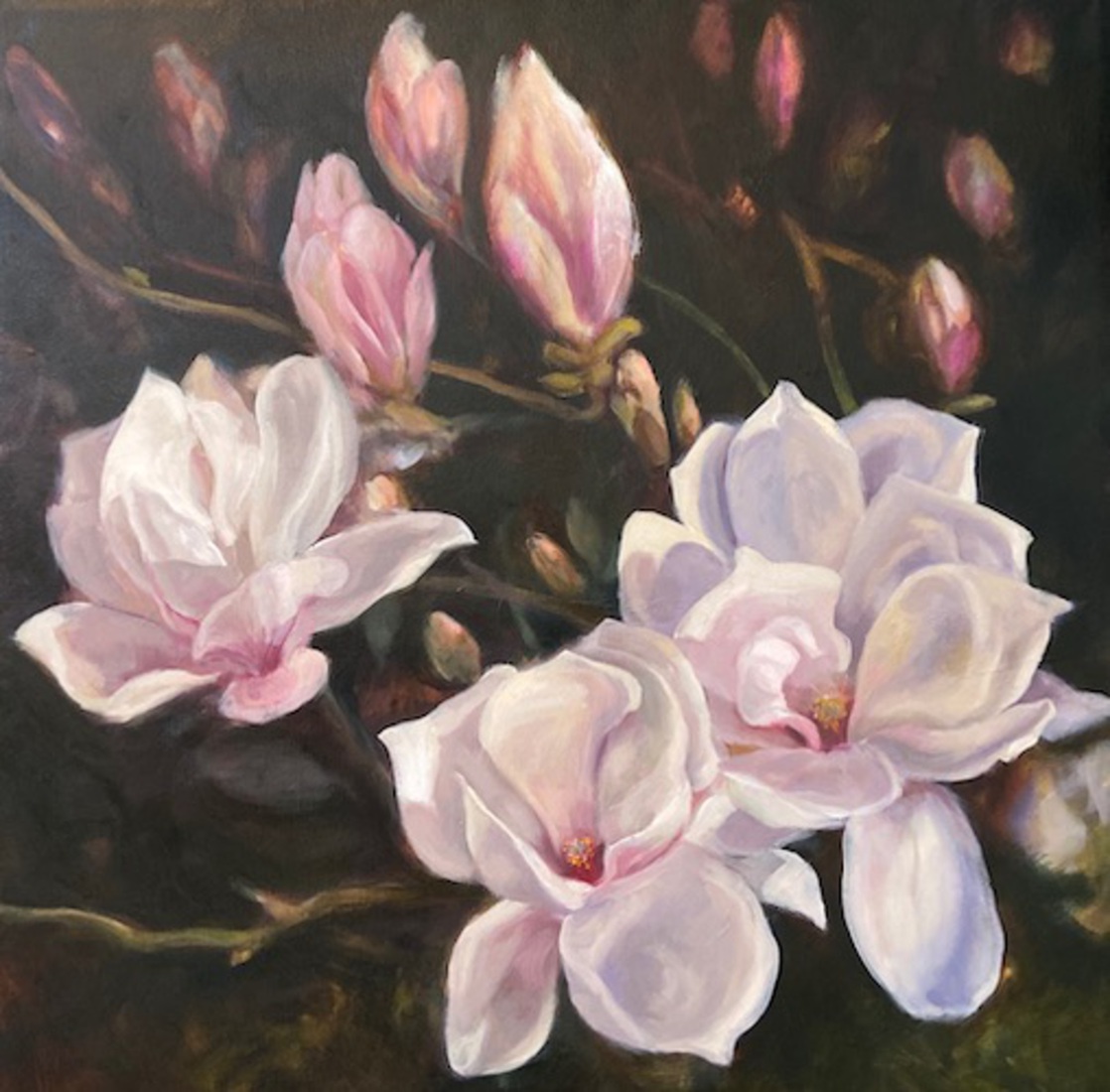 Magnolia