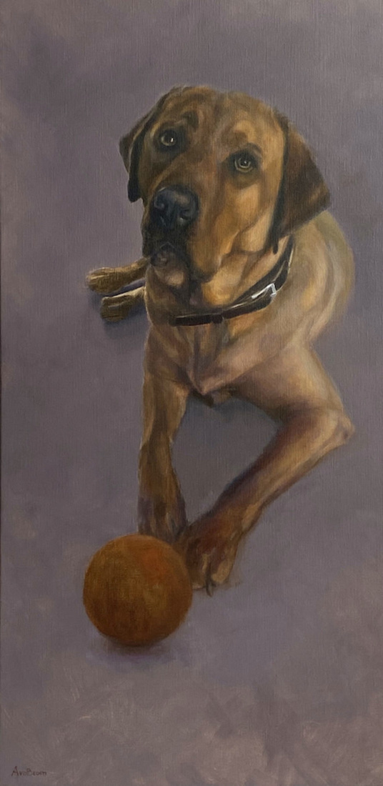 Labrador met bal