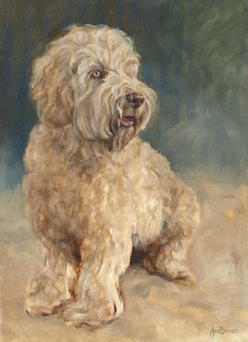 Labradoodle