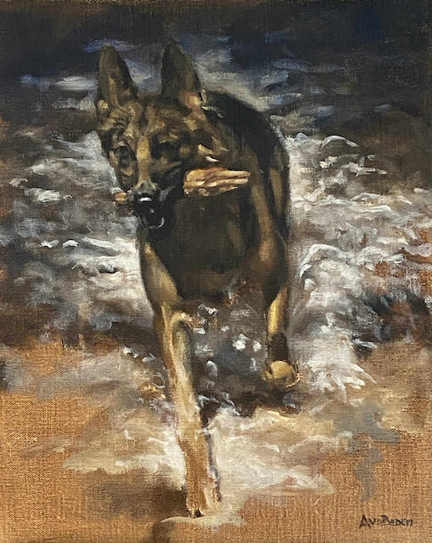 Duitse herder
