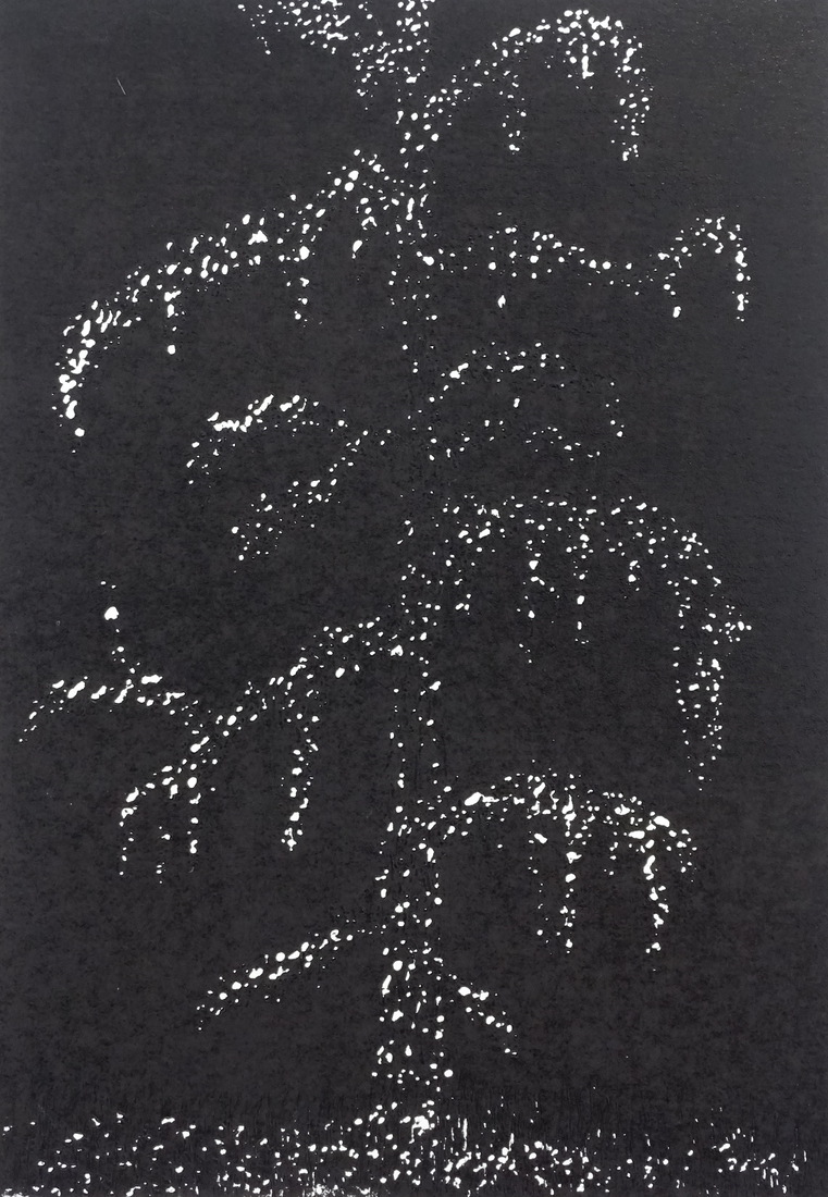larix