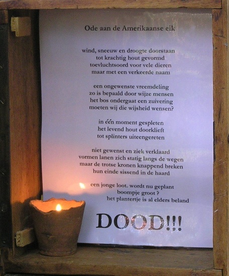 Ode aan de Amerikaanse eik. Gedicht Gerri Grijsen