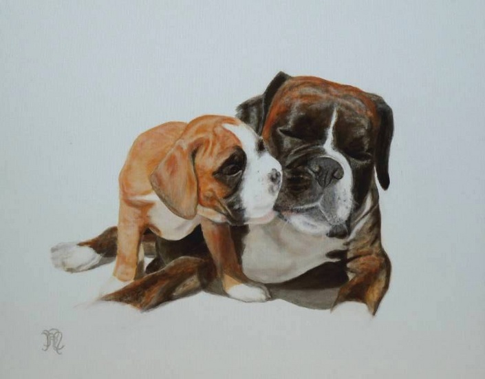Honden boxers Puppy Love