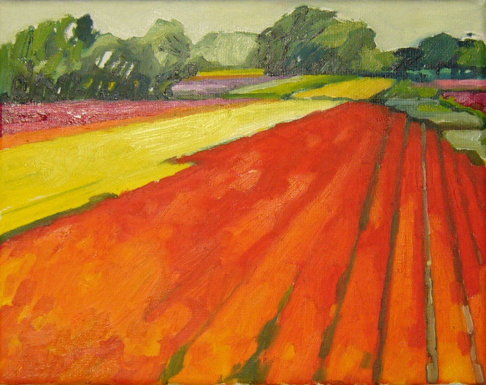 Bloembollenveld - 2