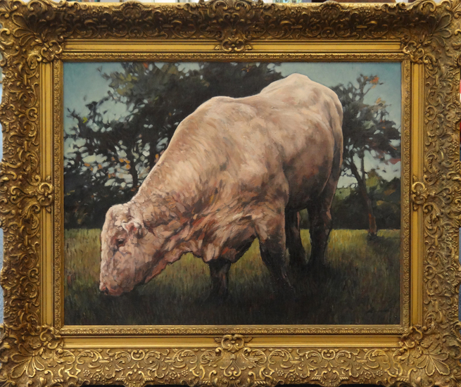 De stier van St.Jean