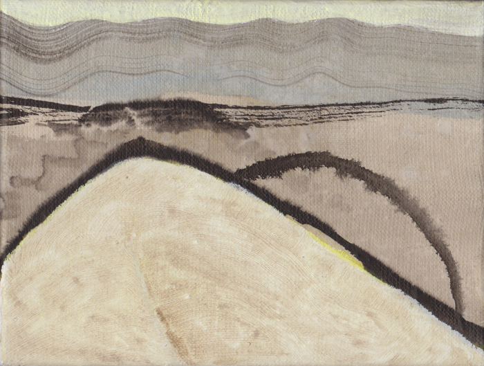 Landschap variatie