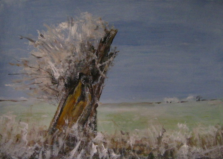 Winterse knotwilg
