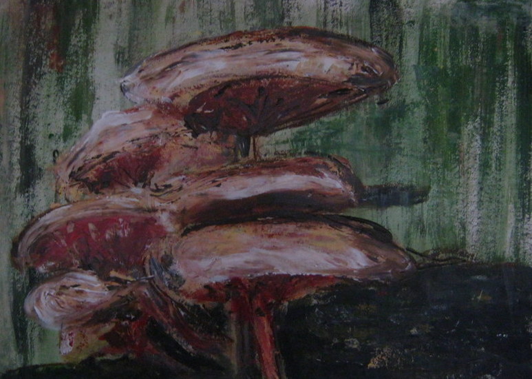 Paddestoelen
