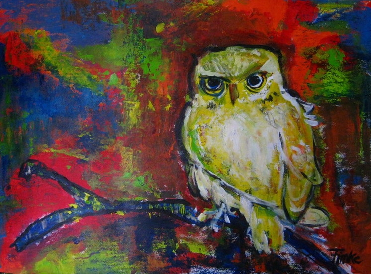 yellow owl