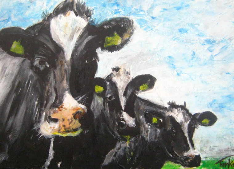 Zwart witte koeien