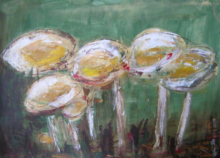 Paddestoelen