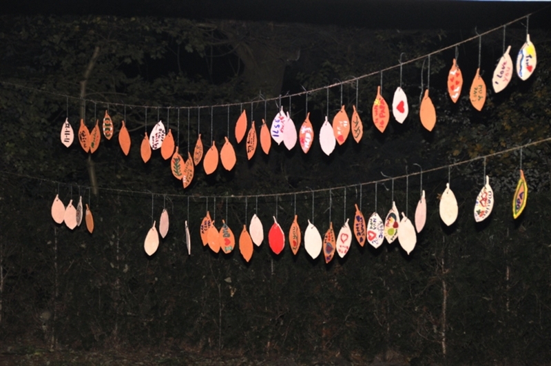 Bladeren, Allerzielen 2015, Zoom-en Zegestede