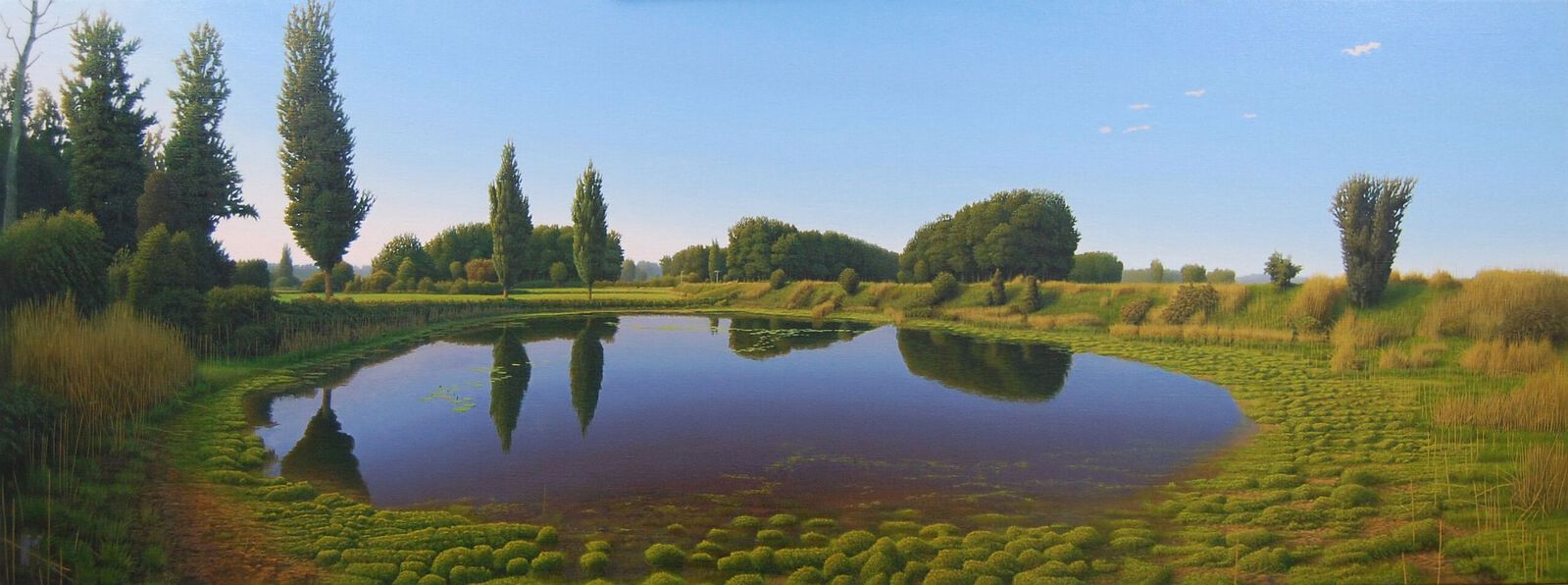 De poel