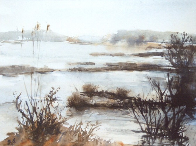Vogelmeer Kennemerduinen