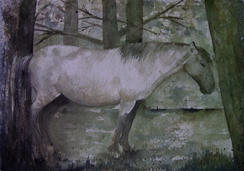 Paard in 't bos