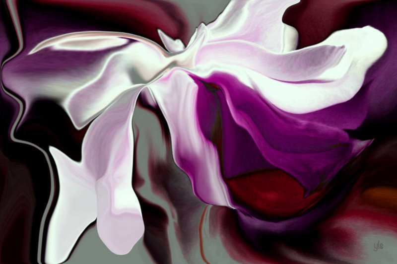 Witte roos veranderd in Art