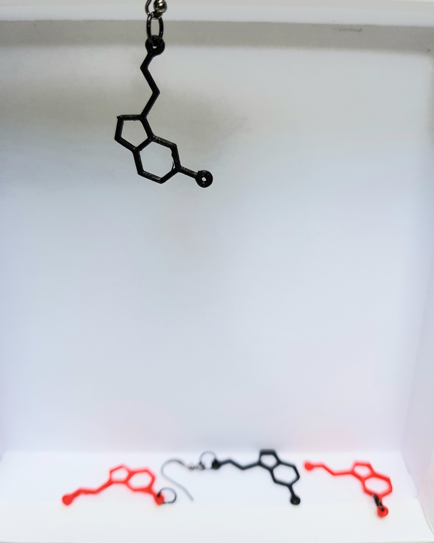 Serotonine oorbellen zwart
