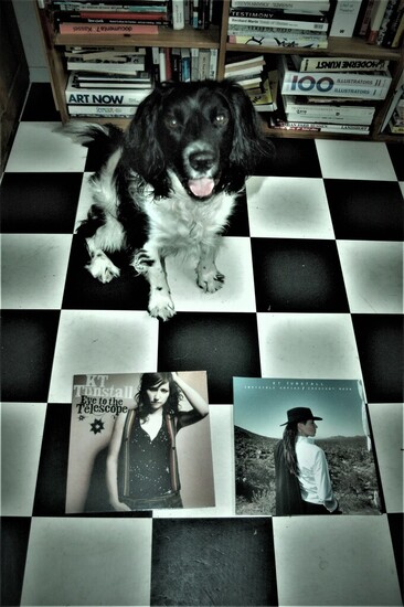Cuddle the dog and his vinyl collection 25
