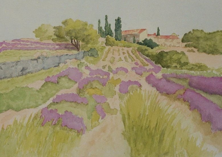 Oud lavendelveld