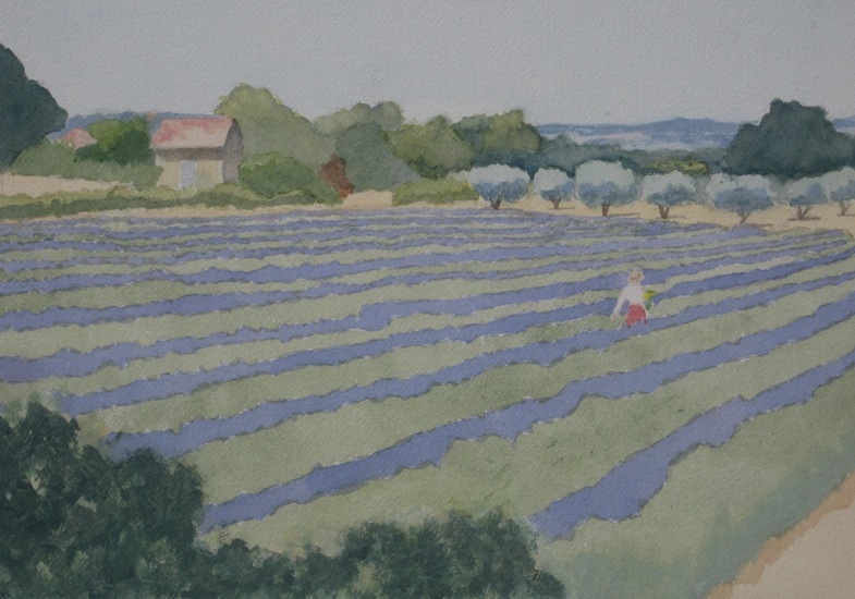 Bonnieux, Lavendelveld