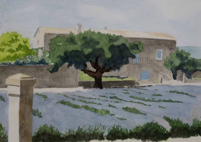 Bonnieux, Lavendel