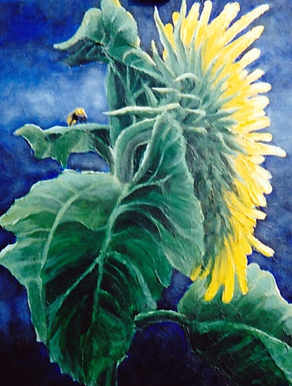 Keerzijde van een Zonnebloem