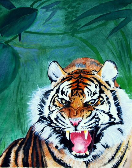 Tijger
