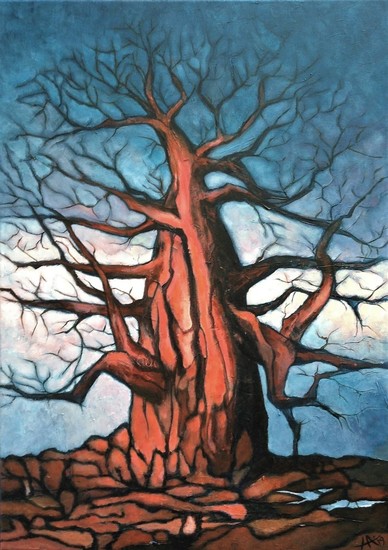 oude baobab