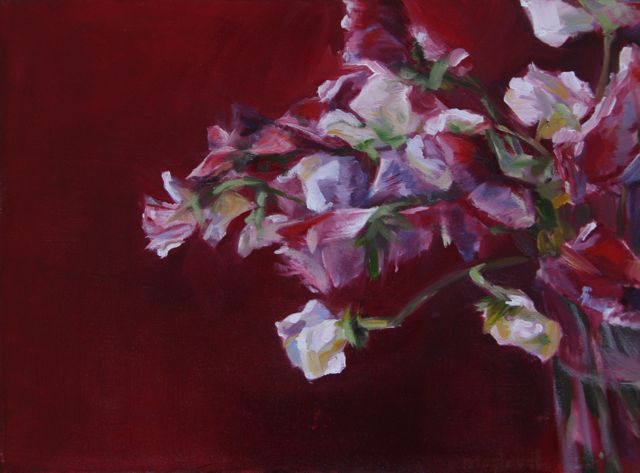 Lathyrus