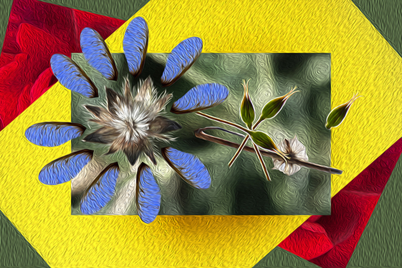 Compositie met dood spul