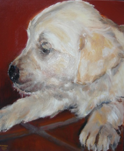 Portret hond MARQUA223 in elke prijsklasse!