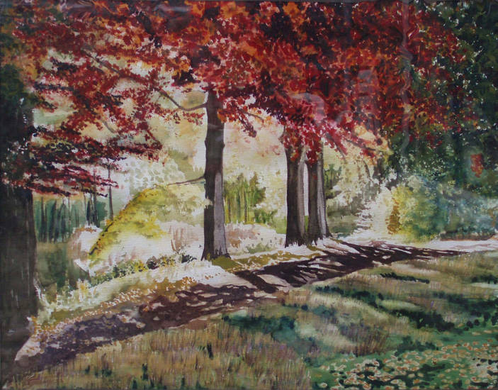 Boslaantje