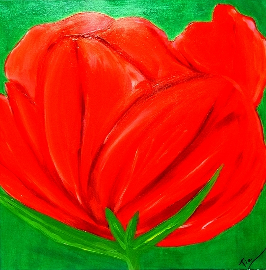 Red Tulip
