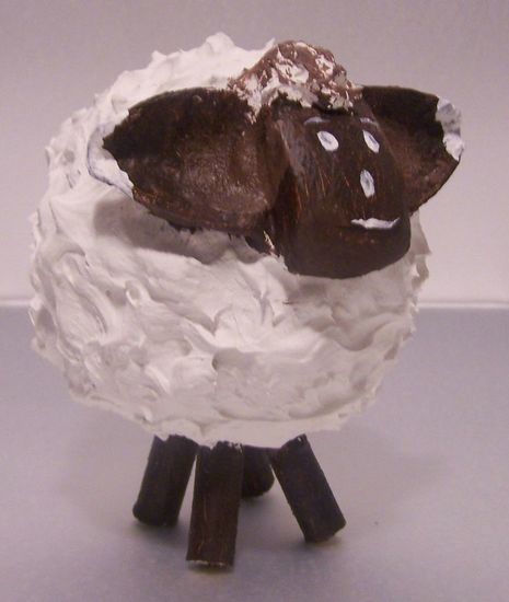 Baby sheep