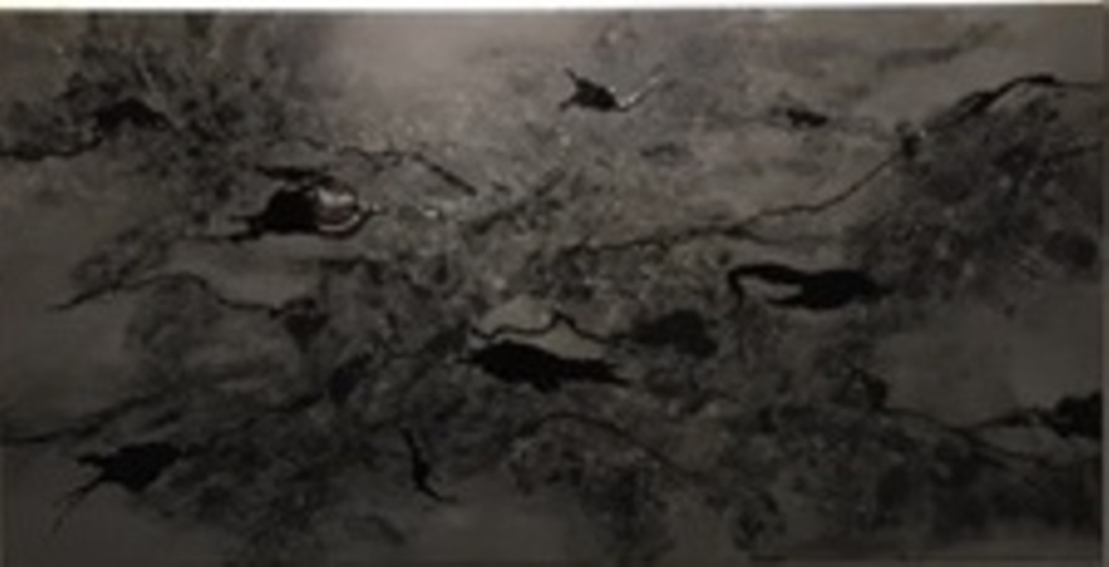 Lava