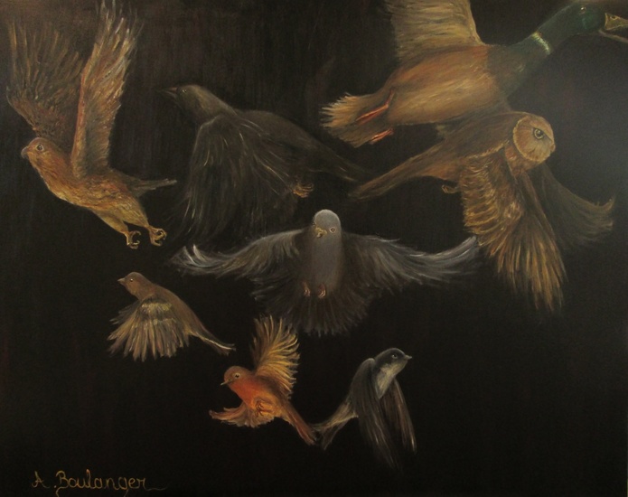 (Vogel)Vlucht
