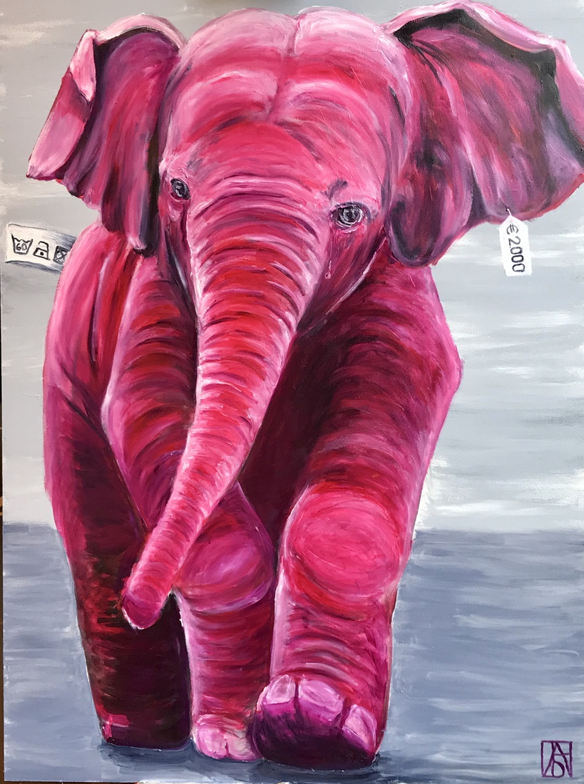 Olifant te koop