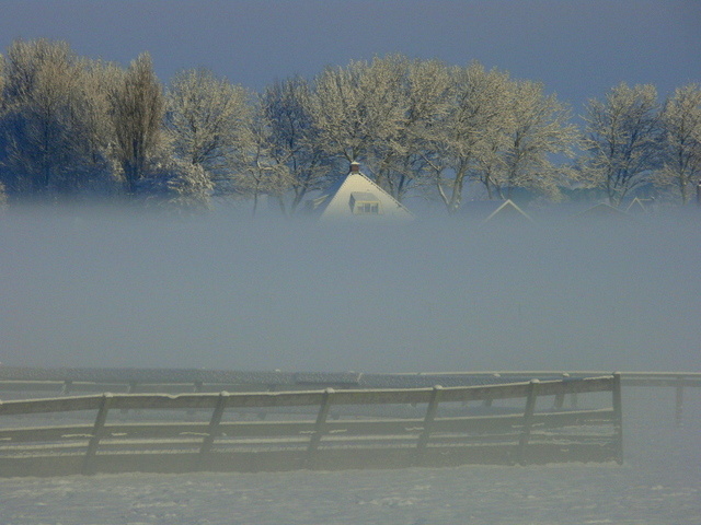 Winter 2009 (1)