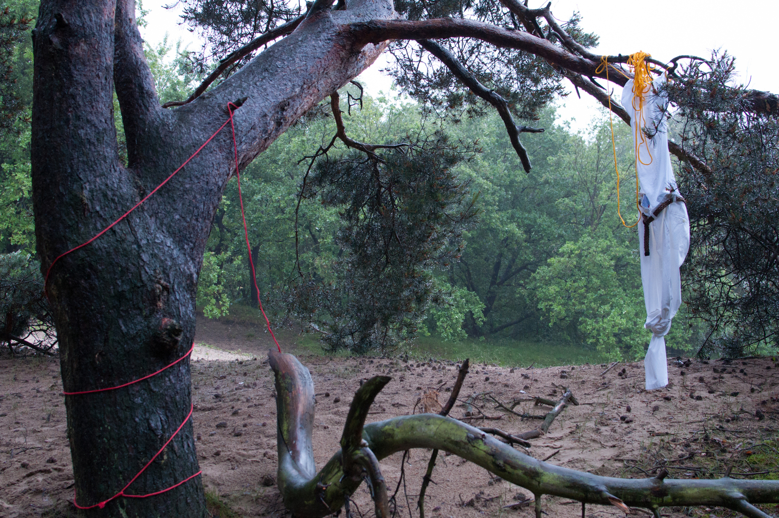 De strop (Hangman's rope)