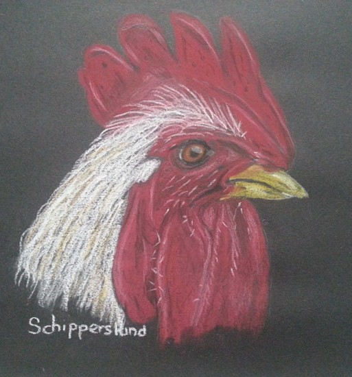 HANNES HET HAANTJE