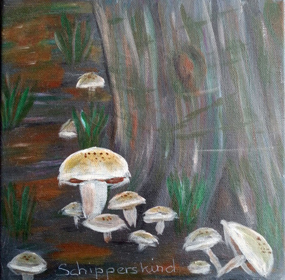 PADDESTOELEN