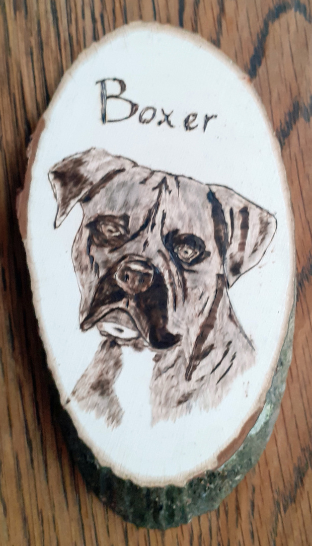 Boxer