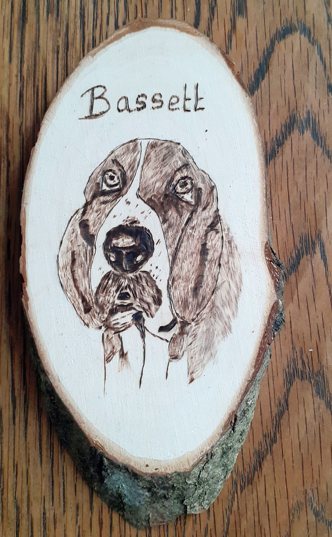 Bassett