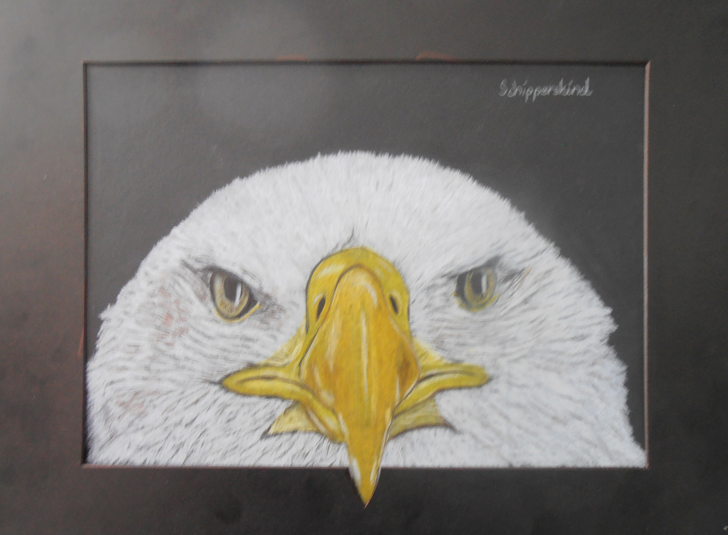 ADELAARSKOP