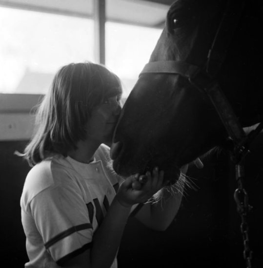Meisje met paard