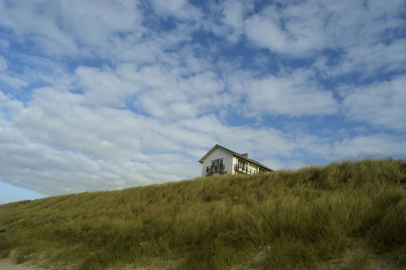 Duinen bij Bergen aan Zee