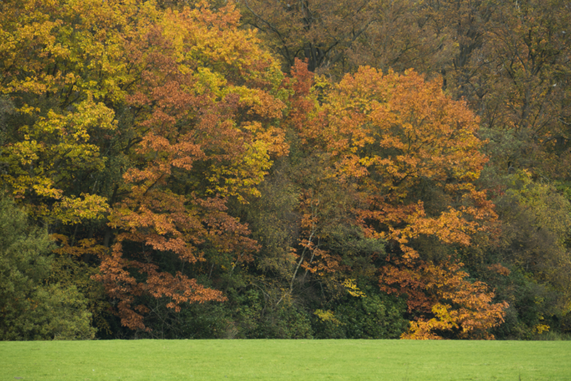 Kommer-rust Naarden